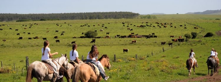O ecoturismo é uma das tendências que mais cresce no país e no mundo. Essa atividade traz benefícios importantes para a preservação da natureza, por meio de sua valorização
