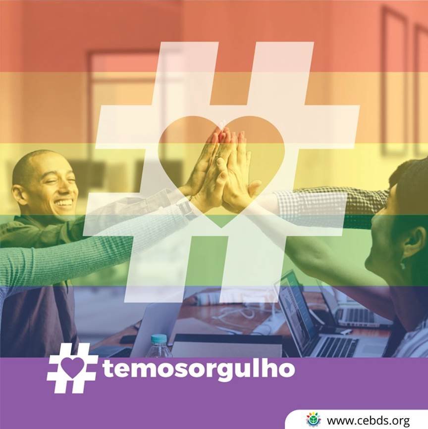 Mês do Orgulho LGBTQI+: CEBDS envolve grandes empresas em campanha nas redes sociais